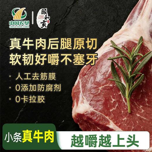【颐和贡】手撕牛肉干 500g&100g 小条真牛肉 越嚼越上头 商品图0