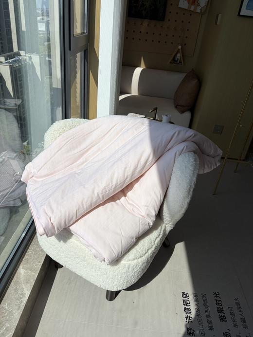 直发 专卖店撤柜尾单 【5斤重】 全棉春秋大豆被 商品图6