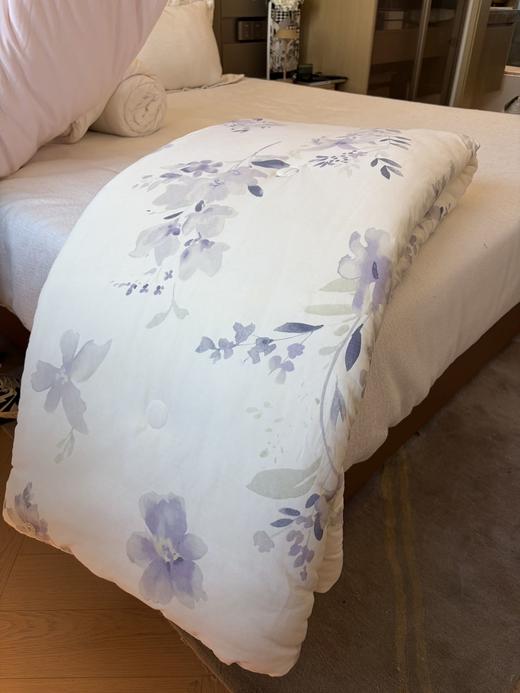 直发 专卖店撤柜尾单 【5斤重】 全棉春秋大豆被 商品图9