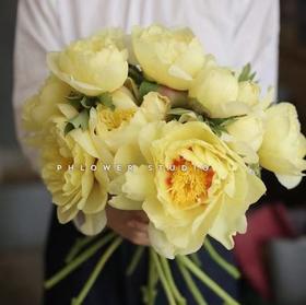 【预山东仓】顺丰空运包邮 | 巴茨拉【可备注发货时间】