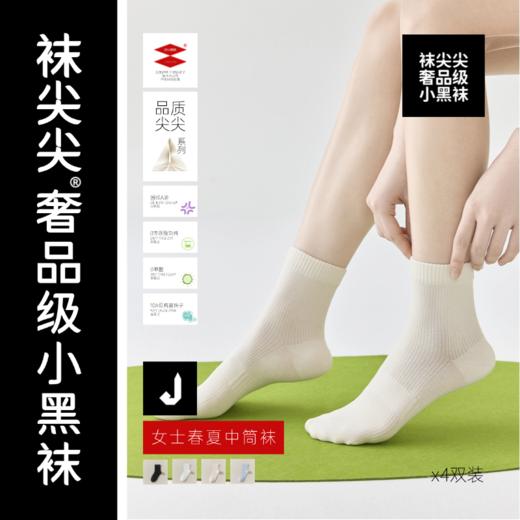 【袜尖尖】春夏款袜子合集 商品图5