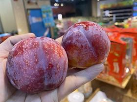 【智利进口】太阳李/恐龙蛋 肉质脆嫩紧实，硬吃清爽酸甜，微软后纯甜多汁，一口下去汁水丰盈，满满的李子清香。