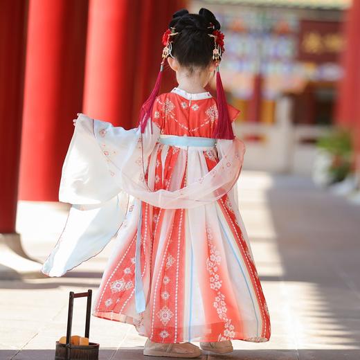 【团购】【洛川】苏城纪女童襦裙汉服SL3573（长袖） 商品图8