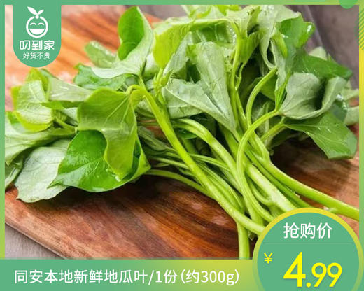 同安本地新鲜地瓜叶/1份（约300g） 商品图0
