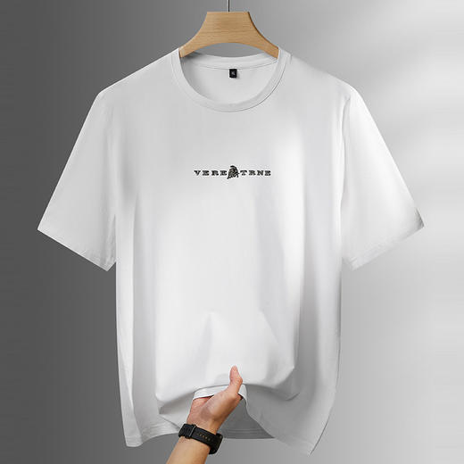 【DPF】【莫代尔棉】大依优型大码男装圆领短袖T恤休闲运动上衣夏季男士 商品图3