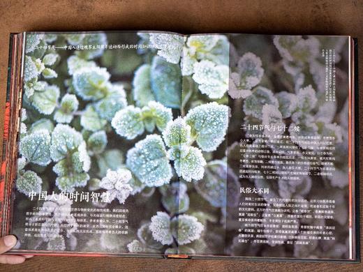 《中国非遗》(精装典藏版)，三面书口刷边，加厚飞机盒发货，加赠：非遗醒狮灯笼+“包有福”帆布袋， 商品图6