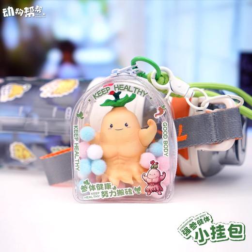 参体健康 小挂包 趣味谐音梗挂饰钥匙扣包配件 可爱周边潮玩 ★动物帮帮农场 官方正品 商品图0