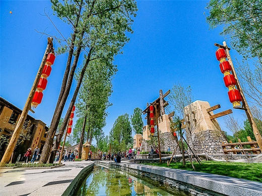 【狼牙山花海1日】｜万亩花海の狼牙山田园花海-太行水镇 商品图4