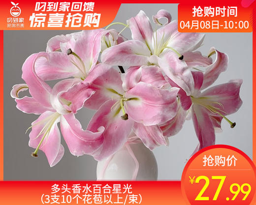 【预售-4月13日配送】多头香水百合星光（3支10个花苞以上/束） 商品图0
