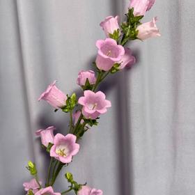 配花 | 风铃树粉