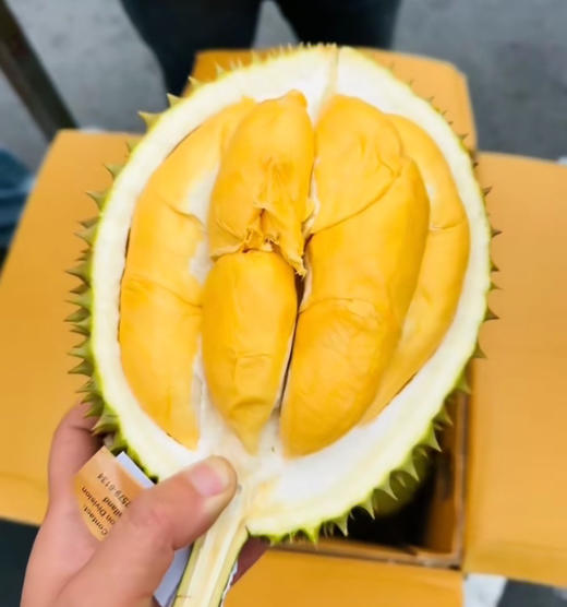 托曼尼榴莲 商品图2