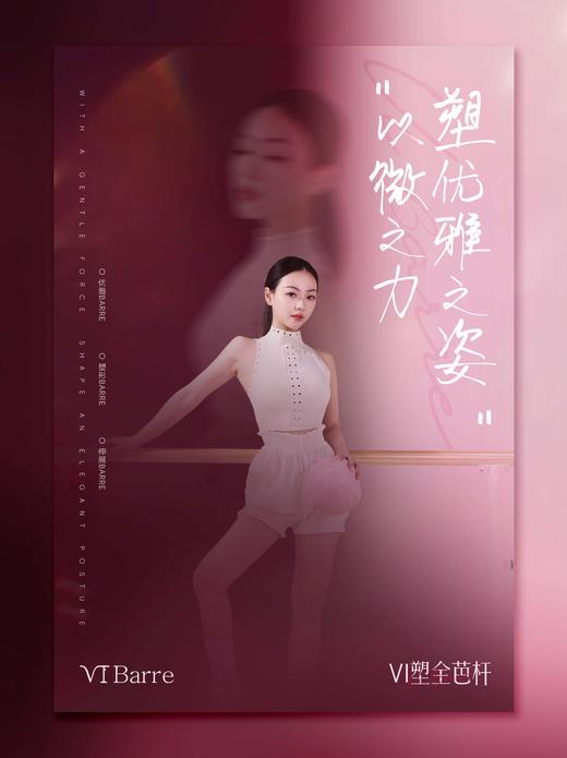 VI塑全芭杆，定金&尾款支付链接 商品图1