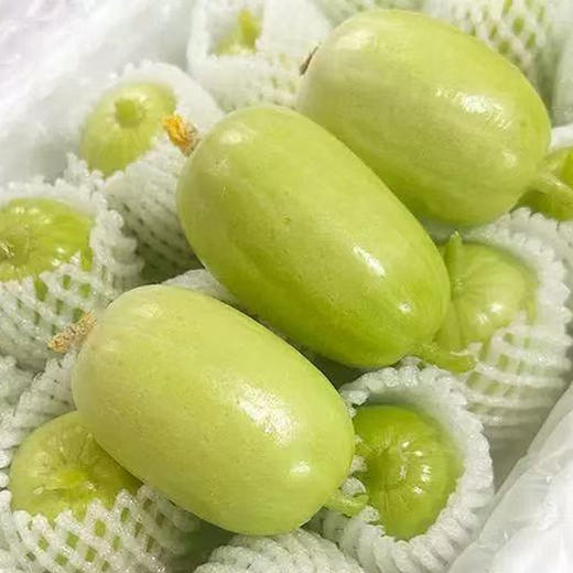 玉女黄瓜 商品图2