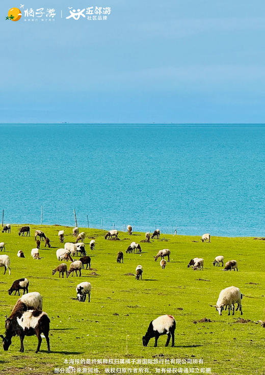 【青甘飒玩】戈壁盐湖间青甘飒玩遍8日游 商品图2
