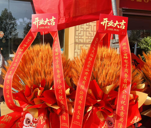开业花篮（1对） 商品图0