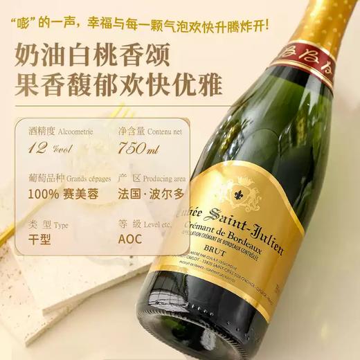 【法国波尔多AOC】法国菲特瓦欧歌酒庄圣朱立安波尔多起泡葡萄酒  原瓶进口 12%vol 商品图4