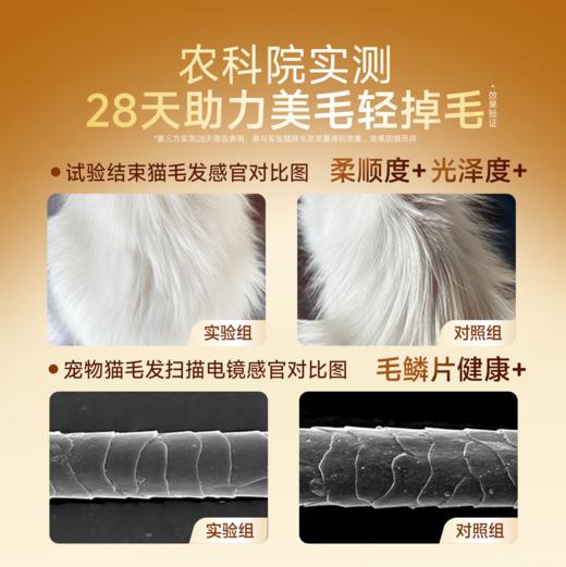 【全蛋奶霜第三代烘焙猫粮】 宽福  0肉粉0谷物0诱食剂 72%鲜肉  90%动物原料低温鲜肉烘焙 商品图4