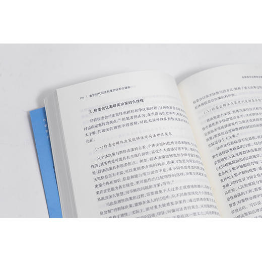 数字时代司法制度的体系化建构 张杰 法律出版社 商品图2