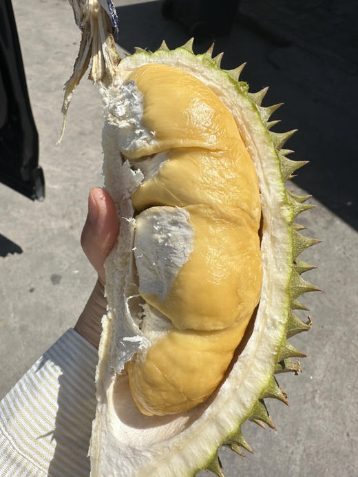 托曼尼榴莲 商品图6