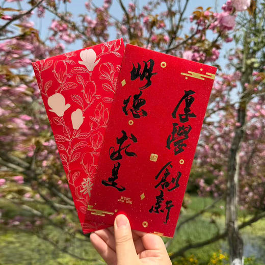 华科大红包套装（玉兰+校训款）一套8个 商品图3