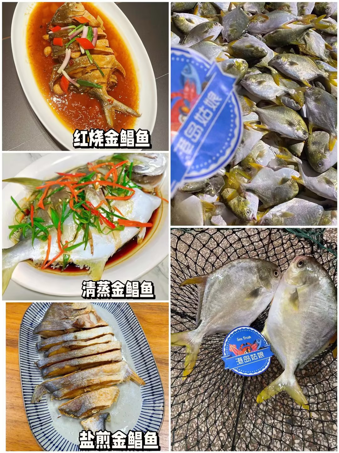 L''今日推荐【海捕大金鲳鱼】招牌家常吃鱼推荐，手慢🈚，新鲜活冻