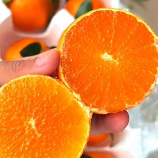 云南沃柑 商品图2