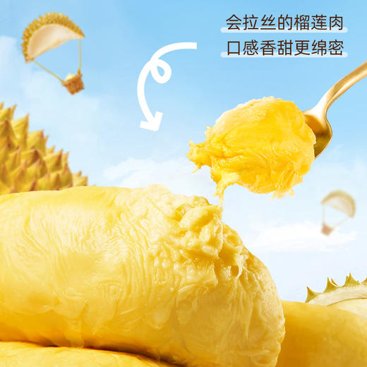 【到手4盒】榴莲西施泰国A级金枕榴莲肉香甜280g/盒 TY 商品图3