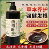 【大鹏】侧柏叶皂角生姜植物洗发水无硅油控油去屑 2瓶装 商品缩略图2