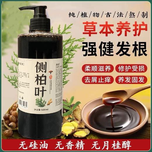 【大鹏】侧柏叶皂角生姜植物洗发水无硅油控油去屑 2瓶装 商品图2