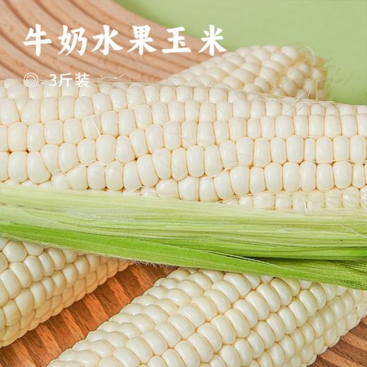 牛奶水果玉米 | 可以生吃的水果粗粮  甜脆多汁无化渣 颗粒饱满 口口爆浆 生吃熟食皆美味 商品图0