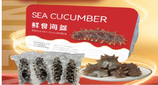 【门店同款】鲜食海参乐扣盒装（500g/盒） 商品图0