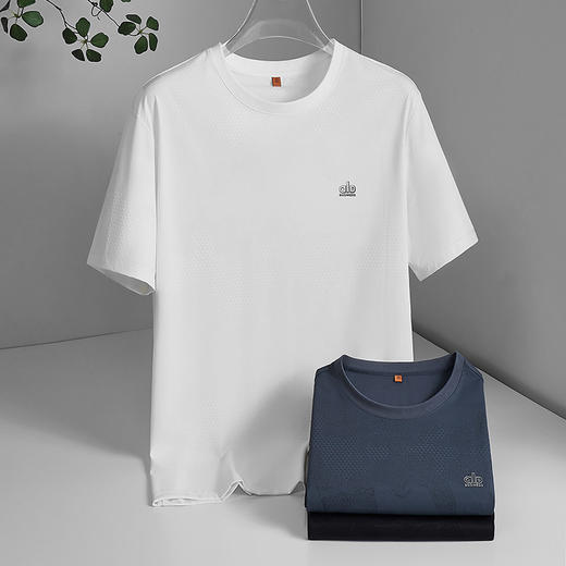 【DWP】大依优型大码男装冰丝圆领短袖T恤运动户外休闲百搭上衣夏季男士 商品图1