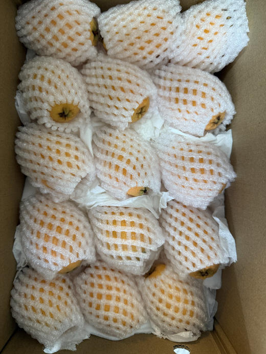 高山枇杷  皮薄肉厚 汁水爆棚 清甜不腻 甜中带微酸 商品图7