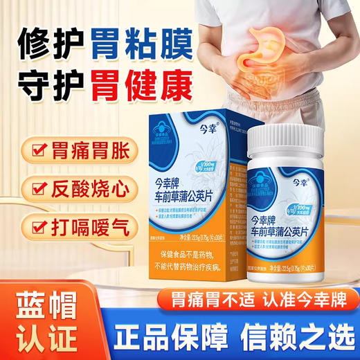 今幸牌 车前草蒲公英片 专利护胃 保护胃粘膜损伤 0.75g/片*30片/瓶 商品图0