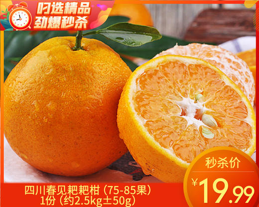 四川春见耙耙柑（75-85果）/1份（约2.5kg±50g） 商品图0