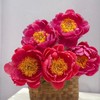 【山东仓现货】顺丰包邮芍药 | 树莓冰沙 商品缩略图2
