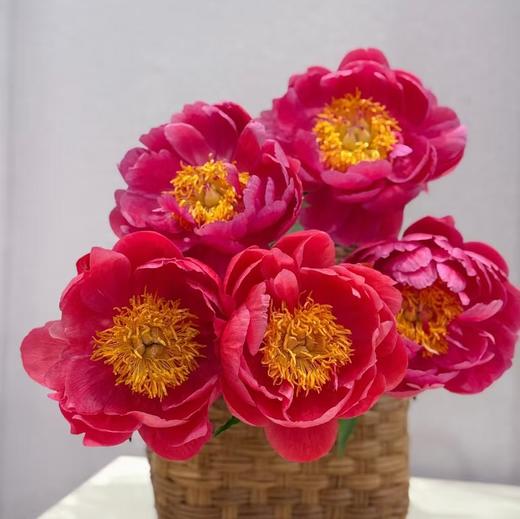 【山东仓现货】顺丰包邮芍药 | 树莓冰沙 商品图2