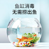 华畜二氧化氯泡腾片消毒片鱼缸专用水产养殖鲜花液杀菌净水观赏鱼 商品缩略图2
