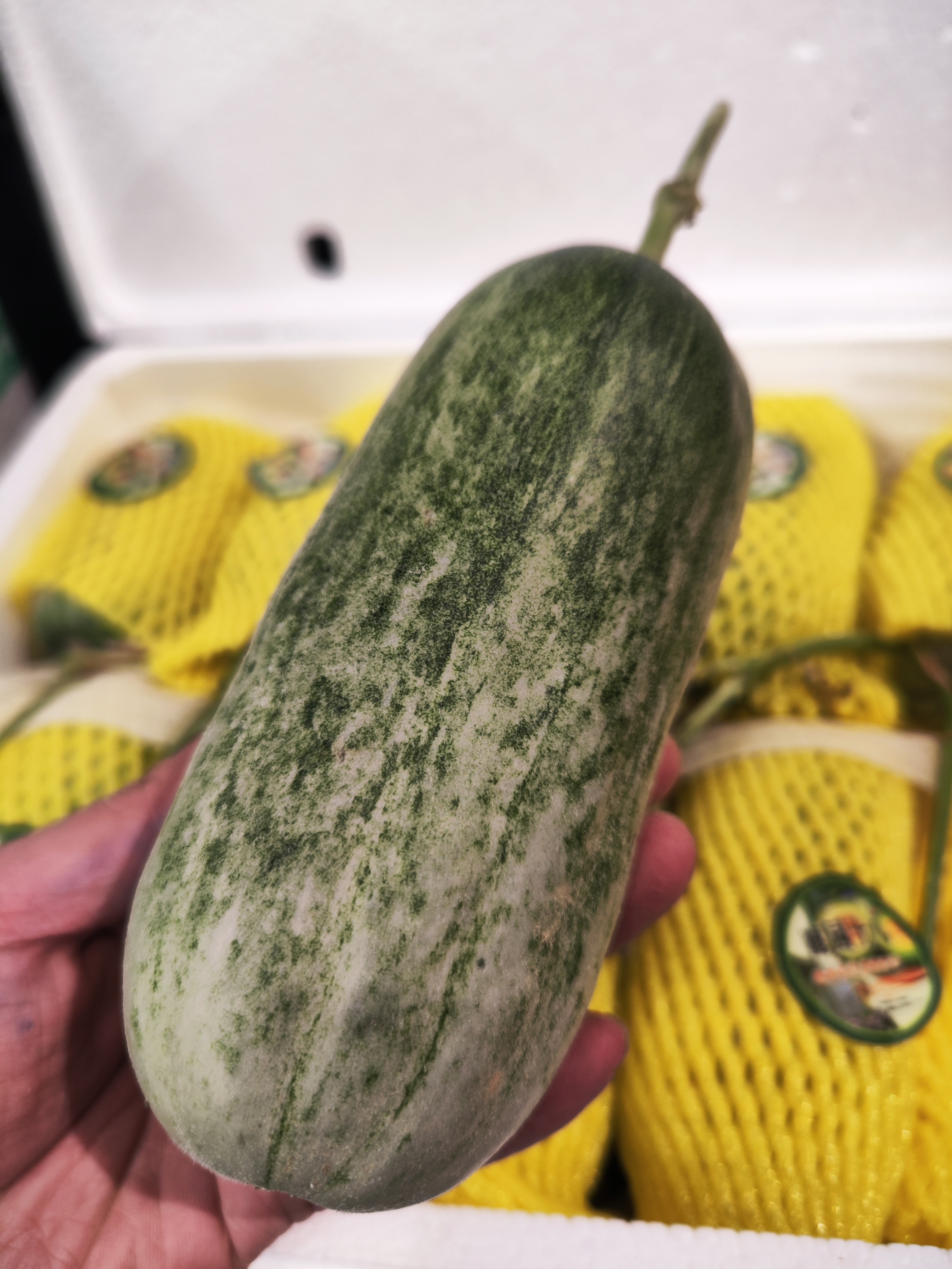 【蜜园18蜜瓜】比博洋还甜，比羊角蜜更脆~，外清脆，里甜嫩，汁多香味足，味道浓郁