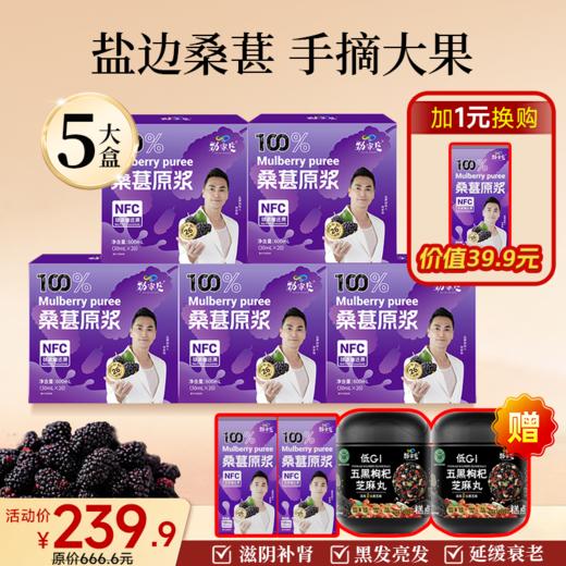 爆款-桑葚原浆 20袋/盒 商品图1