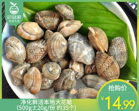 净化鲜活本地大花蛤（500g±20g/份 约35个）