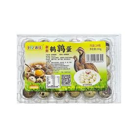 好亿农佳24枚鲜鹌鹑蛋250g