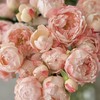 多头玫瑰 | 苏琪公主 商品缩略图0