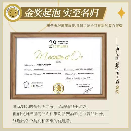 【法国波尔多AOC】法国菲特瓦欧歌酒庄圣朱立安波尔多起泡葡萄酒  原瓶进口 12%vol 商品图1