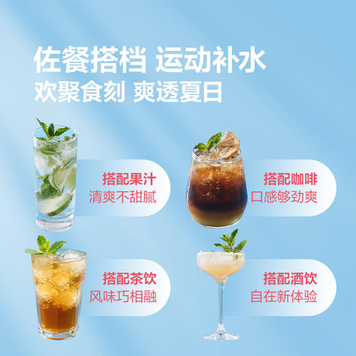 Singha泰国进口伟狮苏打水(碳酸饮料)325mL*24  山姆会员店商品非商品原因不支持退款 商品图4
