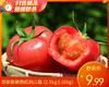 同安新鲜西红柿/1箱（2.5kg±100g） 商品缩略图0