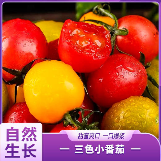 三色小番茄 商品图0