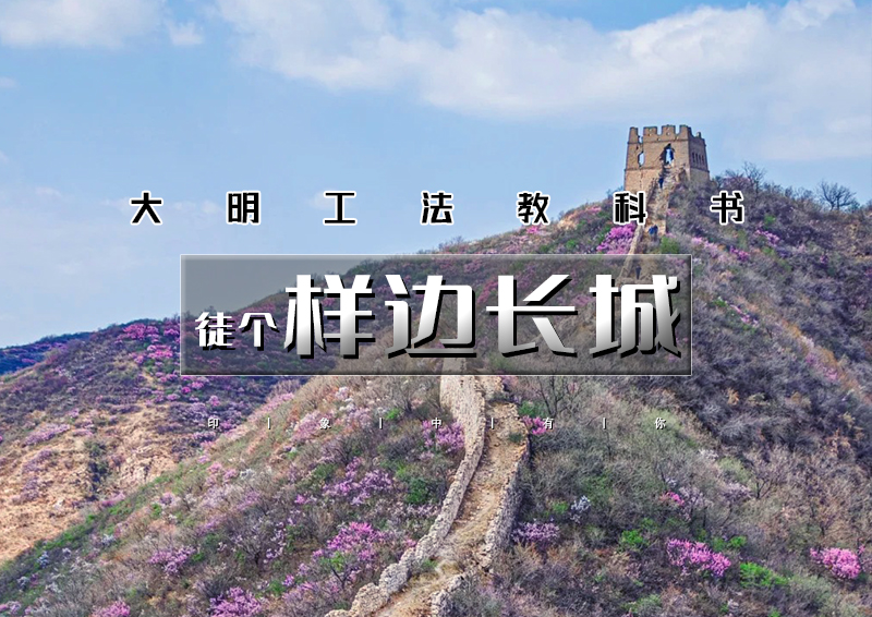 1日｜样边长城｜边关春色の榆叶梅花海绕边墙-粉红花海季