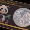 首枚法定面值国际版熊猫币2026中国熊猫 - 萨摩亚纪念币！（72小时发货） 商品缩略图3