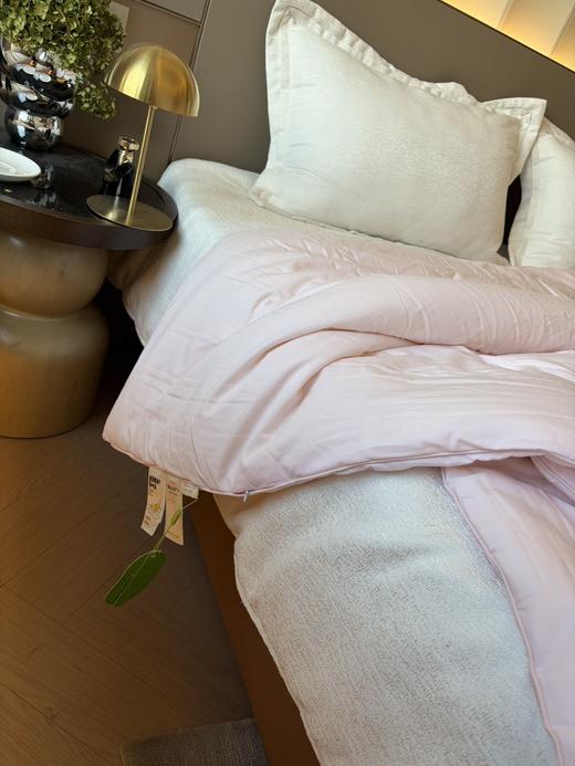 直发 专卖店撤柜尾单 【5斤重】 全棉春秋大豆被 商品图11